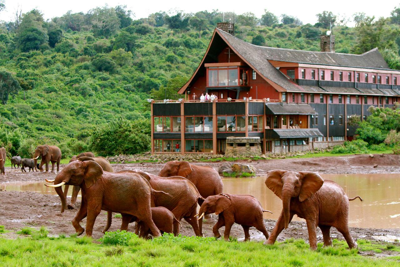 The Ark Lodge Nyeri Kültér fotó