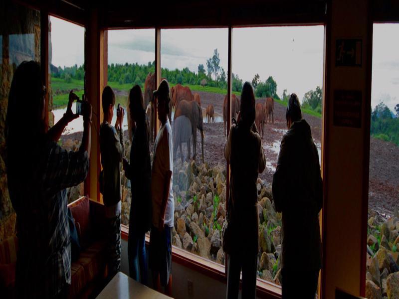 The Ark Lodge Nyeri Kültér fotó